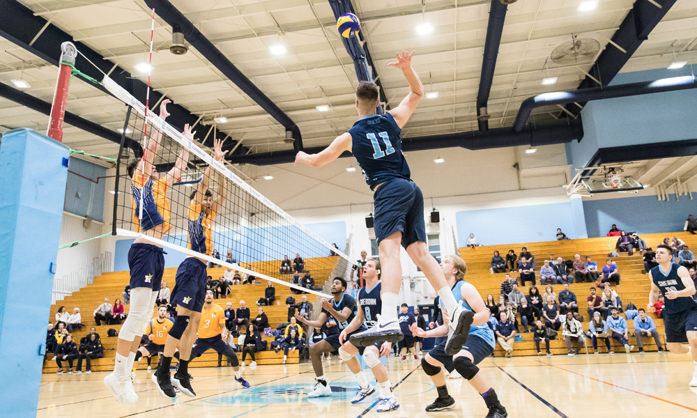 Men's volleyball fall in five-setter to Humber